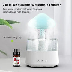 Rain Cloud Humidifier